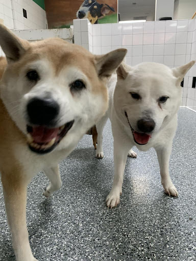 Photo from customer review