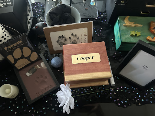 Photo from customer review