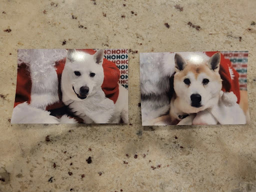 Photo from customer review