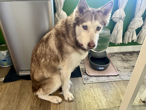 Photo from customer review