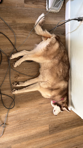 Photo from customer review