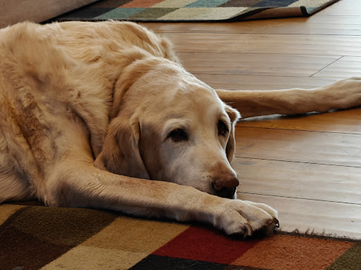 Photo from customer review