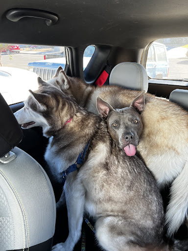 Photo from customer review