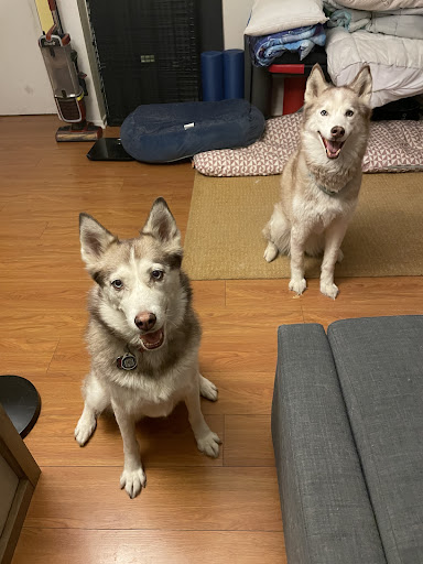 Photo from customer review