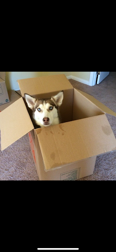 Photo from customer review