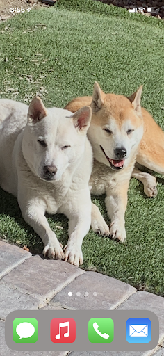 Photo from customer review