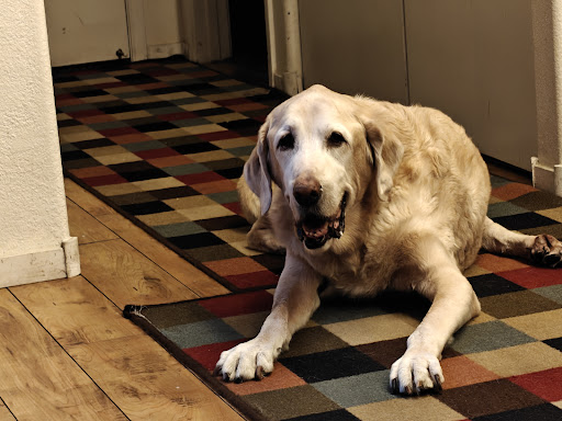 Photo from customer review