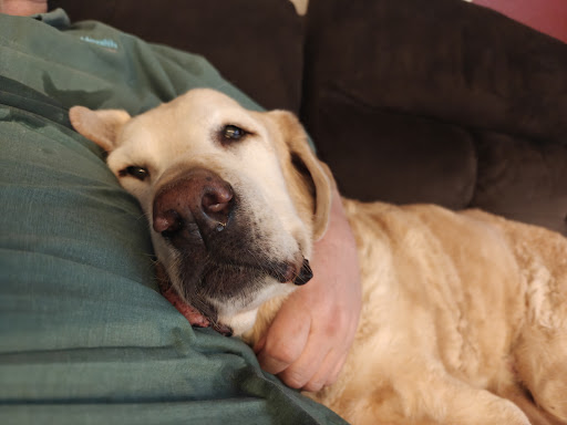 Photo from customer review