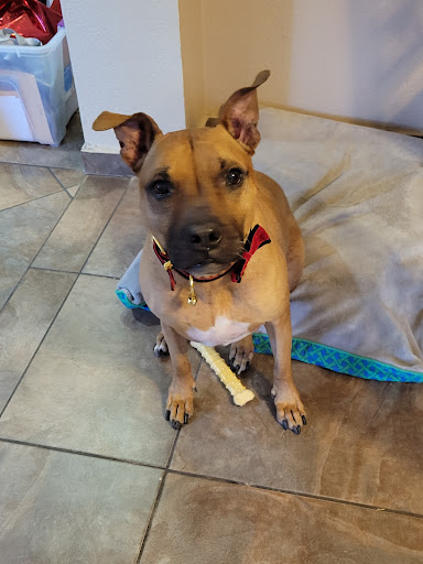 Photo from customer review