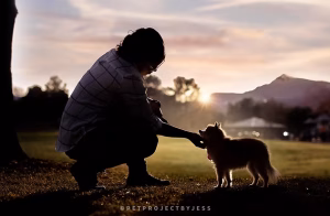 Pet photography session 