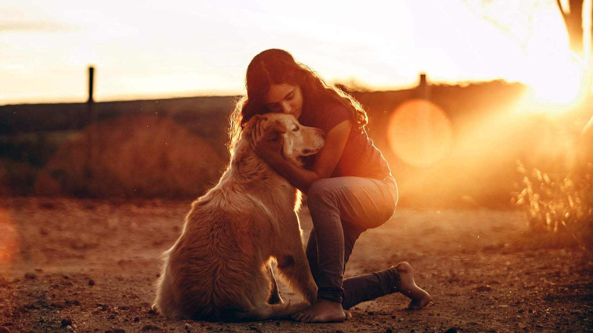 Woman hugging golden retriever dog at sunset.